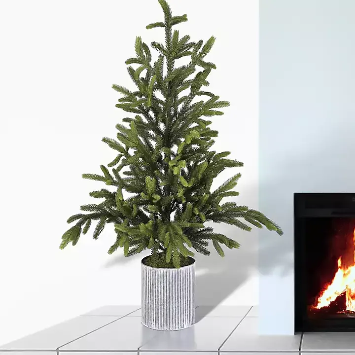 Norway Spruce Potted Christmas Tree