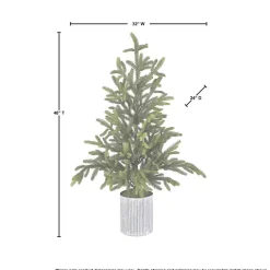 Norway Spruce Potted Christmas Tree