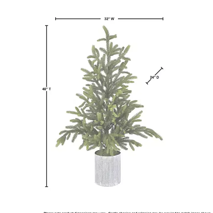 Norway Spruce Potted Christmas Tree