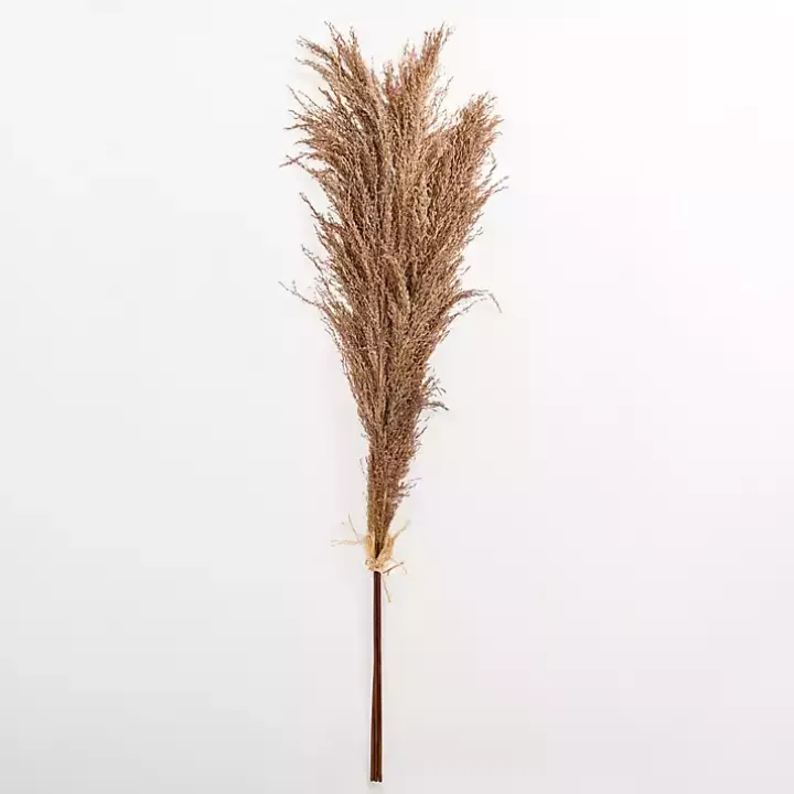 Nutmeg Pampas Grass Bundle