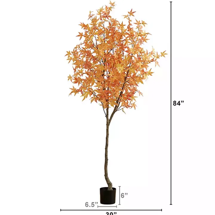 Orange Maple Tree in Black Planter, 7 ft.