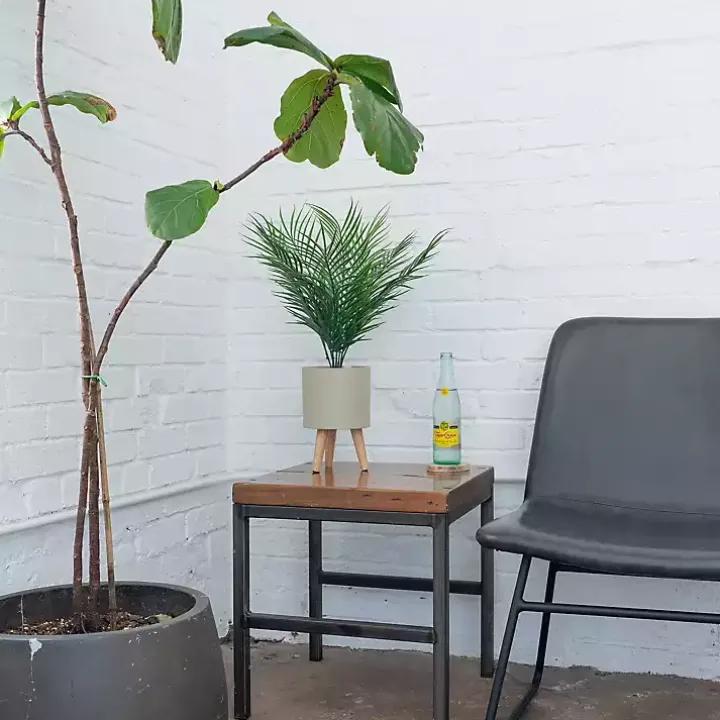 Palm Arrangement in Tan Footed Pot