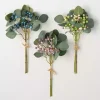 Pastel Berry and Eucalyptus Stems, Set of 3