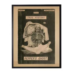 Pepper's Ghost Framed Halloween Wall Plaque