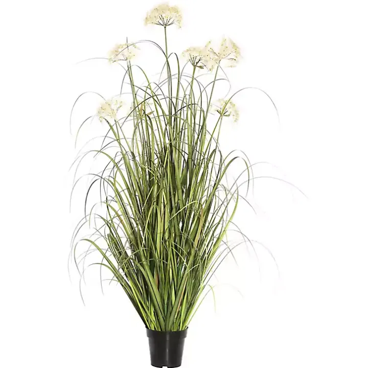Potted Flowering Grass, 36 in.