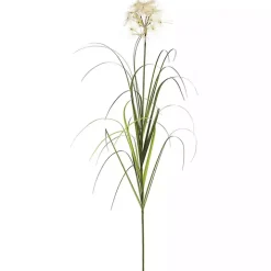 Potted Flowering Grass, 36 in.