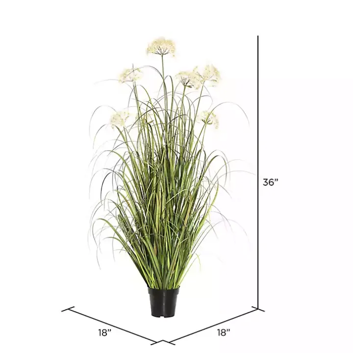 Potted Flowering Grass, 36 in.