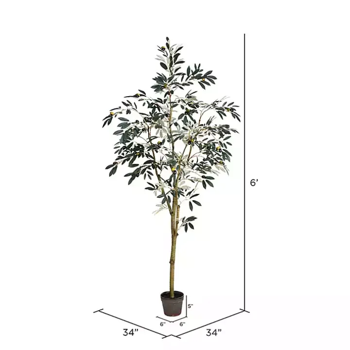 Potted Olive Branch Tree, 6 ft.