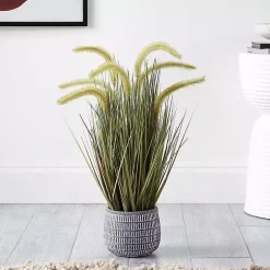 Prairie Grass in Pot