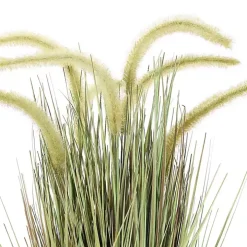 Prairie Grass in Pot