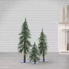 Pre-Lit Assorted Alpine Christmas Trees, Set of 3