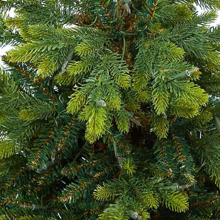 Pre-Lit North Carolina Fir Tree in Red Planter