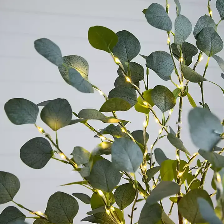 Pre-Lit Warm LED Eucalyptus Plant, 6 ft.