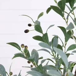 Pre-Lit Warm LED Olive Tree, 4 ft.