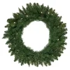 Pre-Lit Winona Fir Wreath