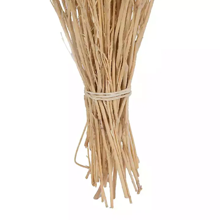 Preserved Natural Bleached Staavia Bush