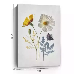 Pressed Flower Memories II Canvas Art Print