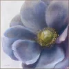 Purple Anemone Framed Canvas Art
