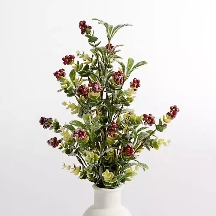 Red Berry Boxwood Bushes, Set of 2