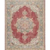 Red Vintage Medallion Area Rug, 7x10