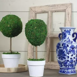 Reindeer Moss Ball Topiary in White Pot