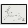 Reindeer Sketch Framed Art Print