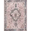 Sasha Medallion Washable Area Rug, 4x6