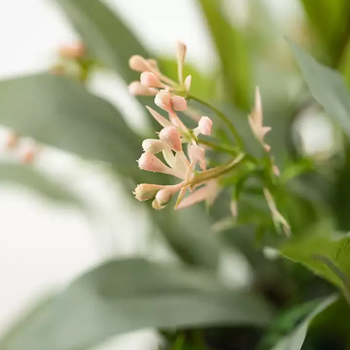 Seeded Blade Eucalyptus Wreath, 25 in.