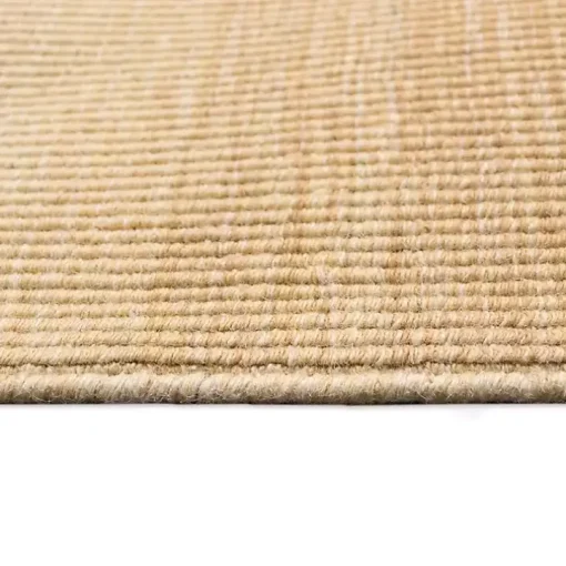 Shading Sisal Outdoor Area Rug, 8x10