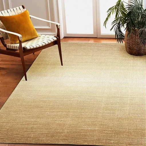 Shading Sisal Outdoor Area Rug, 8x10