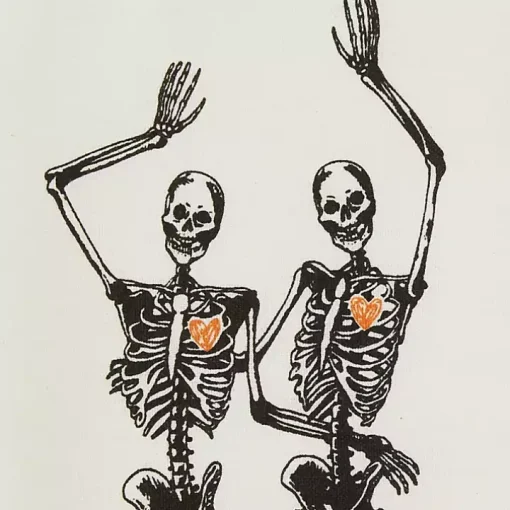 Skeletons Printed Assorted Dishtowels, Set of 3