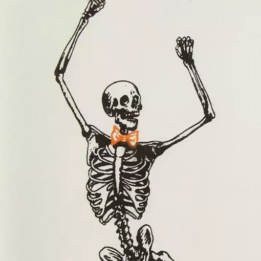 Skeletons Printed Assorted Dishtowels, Set of 3