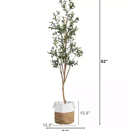 Slim Olive Tree in Woven Planter, 7 ft.