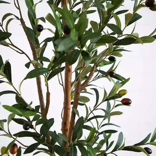 Slim Olive Tree in Woven Planter, 7 ft.