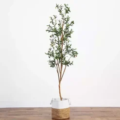Slim Olive Tree in Woven Planter, 7 ft.
