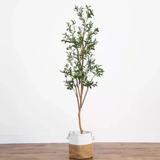 Slim Olive Tree in Woven Planter, 7 ft.