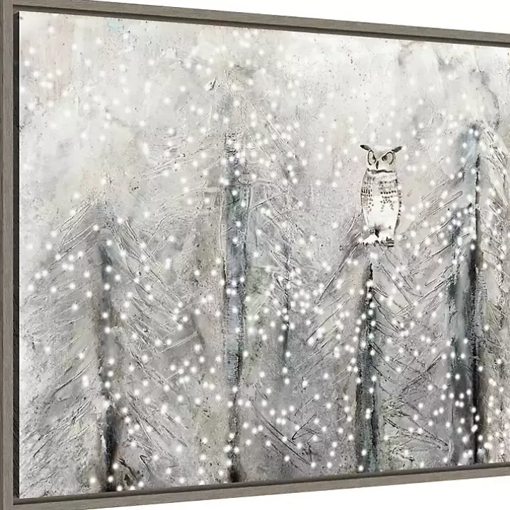 Snowy Scene with Owl Canvas Wall Plaque