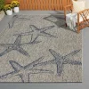 Starry Shores Captiva Outdoor Area Rug, 7x9