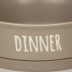 Stone Dinner & Drinks 2-pc. Pet Bowl Set, 8 in.