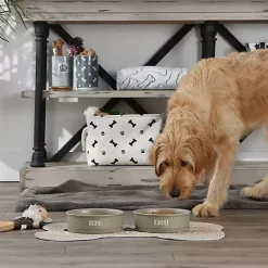 Stone Dinner & Drinks 2-pc. Pet Bowl Set, 8 in.