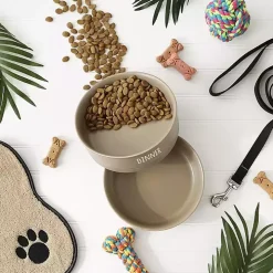 Stone Dinner & Drinks 2-pc. Pet Bowl Set, 8 in.