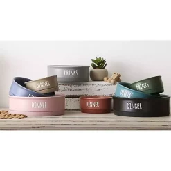 Stone Dinner & Drinks 2-pc. Pet Bowl Set, 8 in.