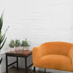 Succulent Arrangements in Cement Pots, Set of 3