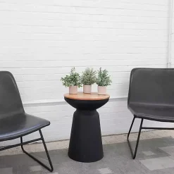 Succulent Arrangements in Cement Pots, Set of 3