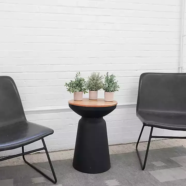 Succulent Arrangements in Cement Pots, Set of 3