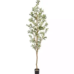 Tall Potted Olive Branch Tree, 82 in.