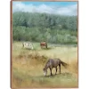 Three Grazing Horses Framed Canvas Art Print