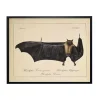 Vintage Black Bat Halloween Wall Plaque