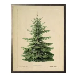 Vintage Fir Tree Framed Art Print