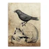 Vintage Skull & Raven Canvas Art Print